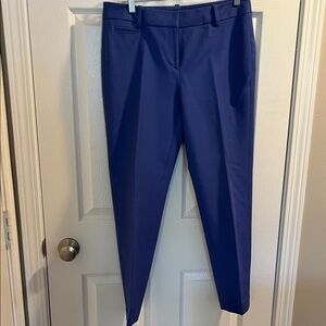Stylish Perwinkle Blue Trousers, ankle length.